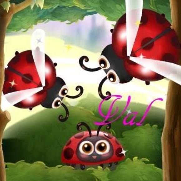 Meet your Posher, Val - Picture 1 of 1